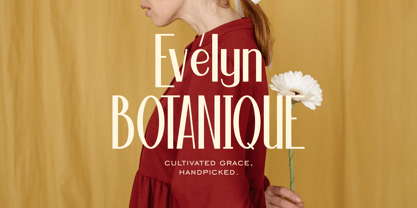 The Hilarious Font Poster 4