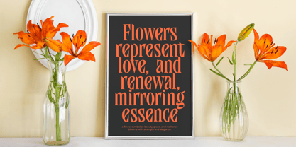 Qandera Font Poster 7