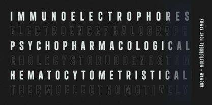 Angmar Font Poster 12