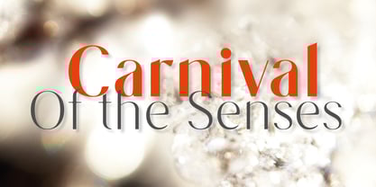 Placidia Sans Font Poster 5