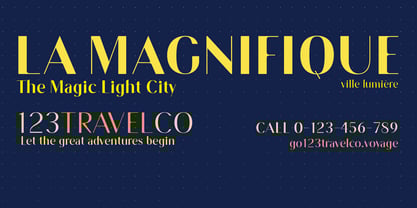 Placidia Sans Font Poster 4