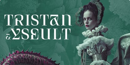 Curve Display Font Poster 6