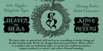 Polyphia Font Poster 6