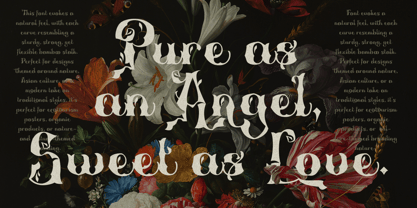Polyphia Font Poster 10