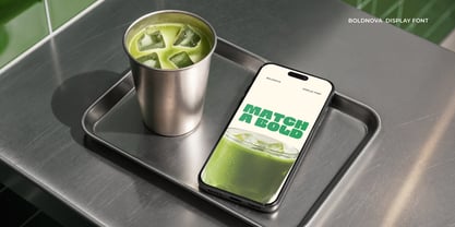 Boldnova Font Poster 7