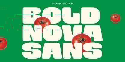 Boldnova Font Poster 1