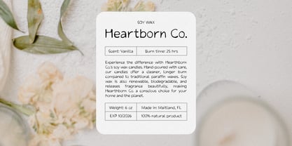 Inky Typer Font Poster 6