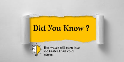 Murisa Fiasco Font Poster 2