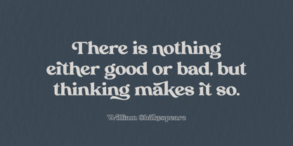 Trendy Luxe Font Poster 4