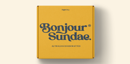 Trendy Luxe Font Poster 10