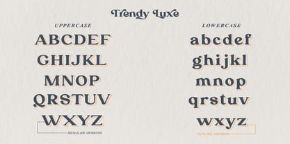 Trendy Luxe Font Poster 12