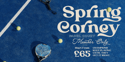 Trendy Luxe Font Poster 3