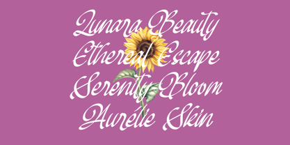 Mendyora Font Poster 4