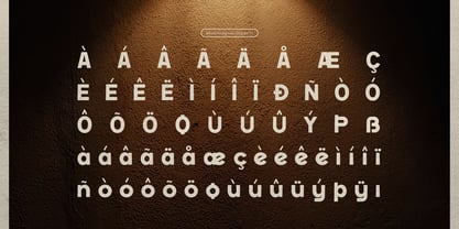 Renasfi Outline Font Poster 11