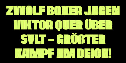 XL Gravy Font Poster 12
