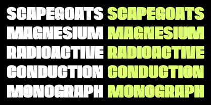 XL Gravy Font Poster 8