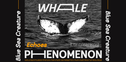 Nexover Font Poster 4