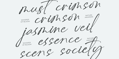 Delynta Roastiph Font Poster 7