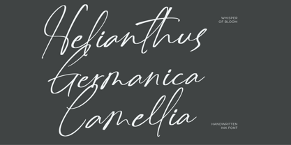 Delynta Roastiph Font Poster 2