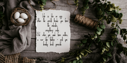 Tasiyo Font Poster 5