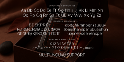 Niravaka Font Poster 9