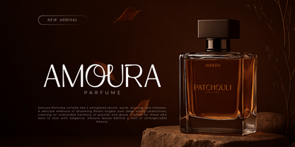 Niravaka Font Poster 3