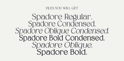 Spadore Font Poster 2
