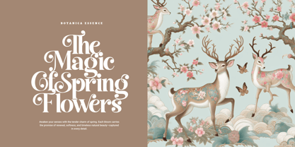 Best Swashed Font Poster 2