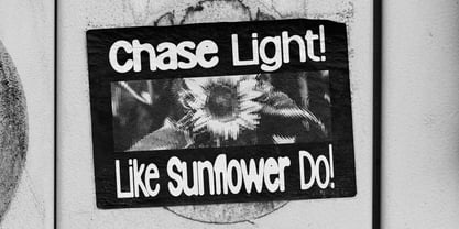 MN Brutaze Font Poster 12