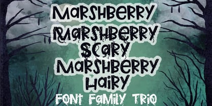 PN Marshberry Font Poster 1