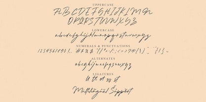 Dallond Coast Font Poster 6