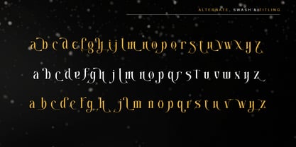Christmas Joyvera Font Poster 12