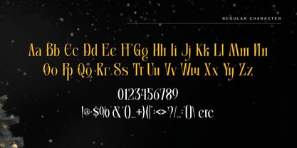 Christmas Joyvera Font Poster 11