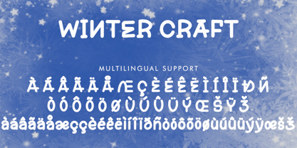 Winter Craft Font Poster 5