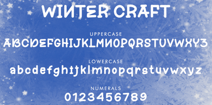 Winter Craft Font Poster 4