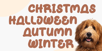 Doggy Pipom Font Poster 3