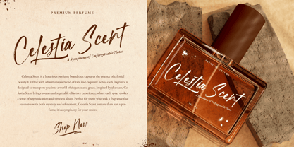 Streaklines Font Poster 2