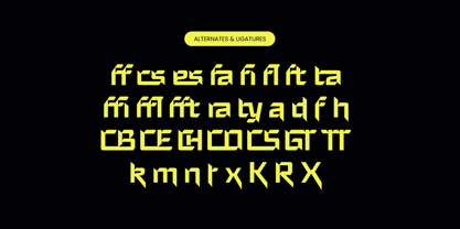 Gofay Micsoty Font Poster 13