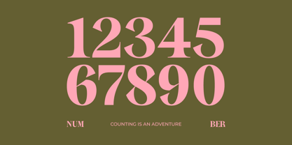 Sagira Beverly Font Poster 11