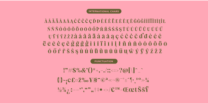 Sagira Beverly Font Poster 14