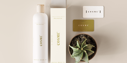 Sagira Beverly Font Poster 10