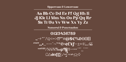 Drigha Font Poster 8