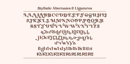 Drigha Font Poster 7