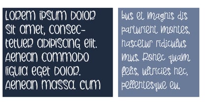 PN Blueboo Font Poster 5