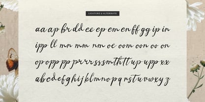 Mercyst Archangell Font Poster 12
