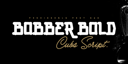 Bobber Bold & Cubs Script Font Poster 1