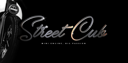 Bobber Bold & Cubs Script Font Poster 6