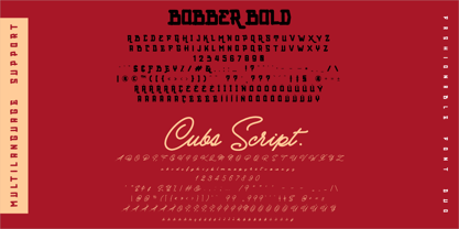 Bobber Bold & Cubs Script Font Poster 9