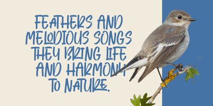 Smooth Dreams Font Poster 3