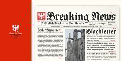 Nomen Est Omen Font Poster 8